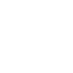 Audi F1 team logo