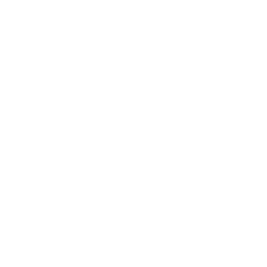 Cadillac F1 team logo